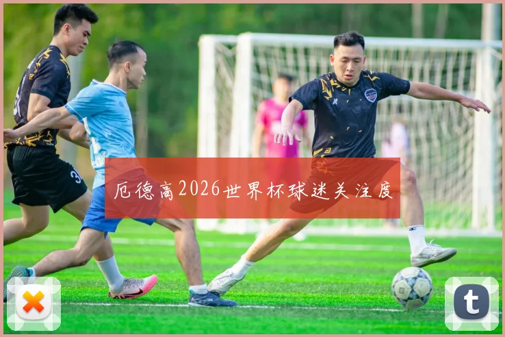 厄德高2026世界杯球迷关注度