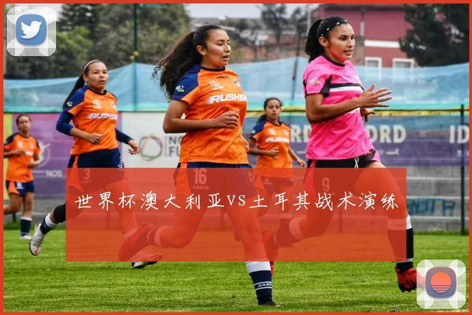 世界杯澳大利亚vs土耳其战术演练