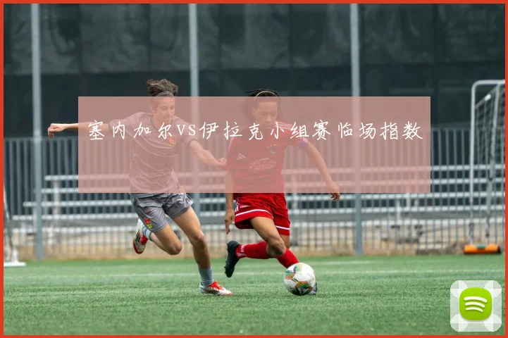 塞内加尔vs伊拉克小组赛临场指数