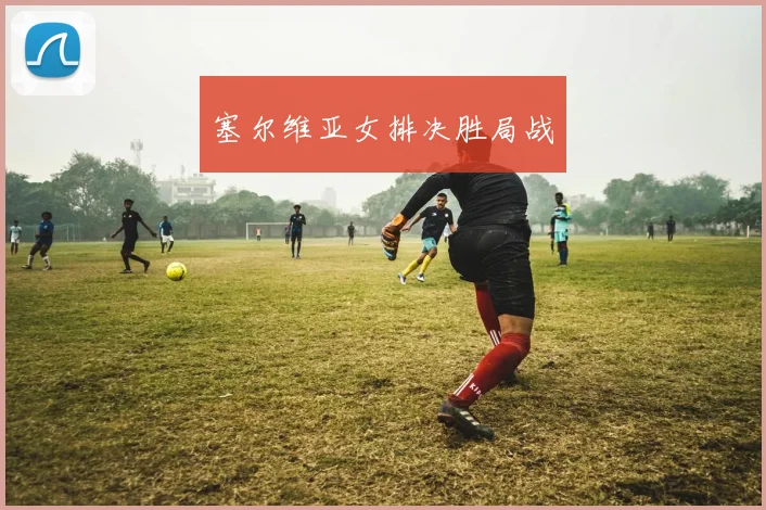 塞尔维亚女排决胜局战