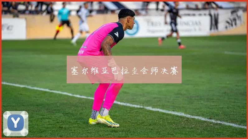 塞尔维亚巴拉圭会师决赛
