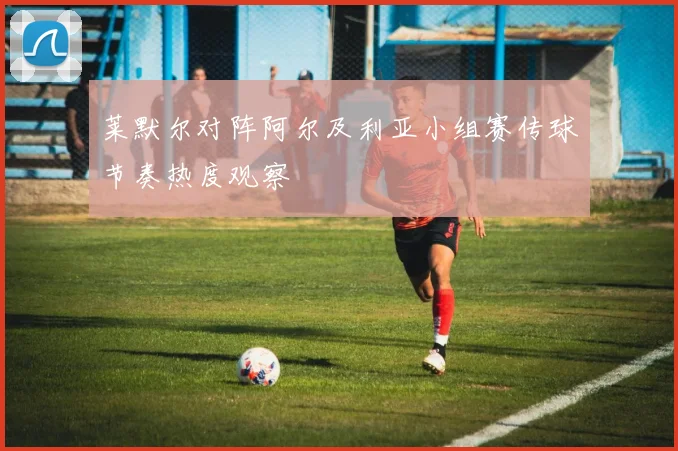 莱默尔对阵阿尔及利亚小组赛传球节奏热度观察