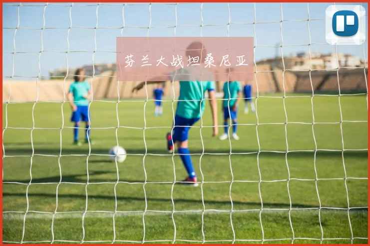 芬兰大战坦桑尼亚