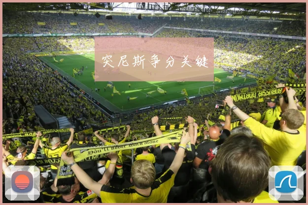 突尼斯争分关键