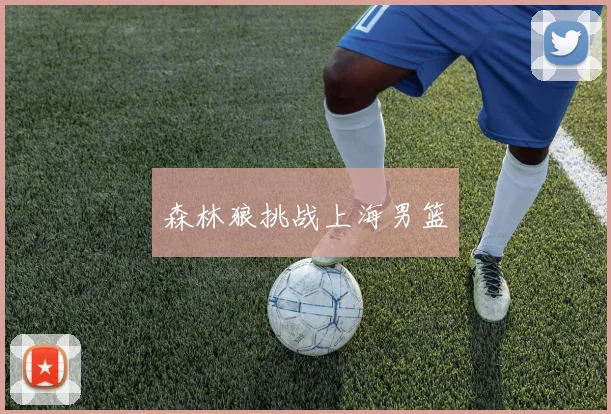 森林狼挑战上海男篮