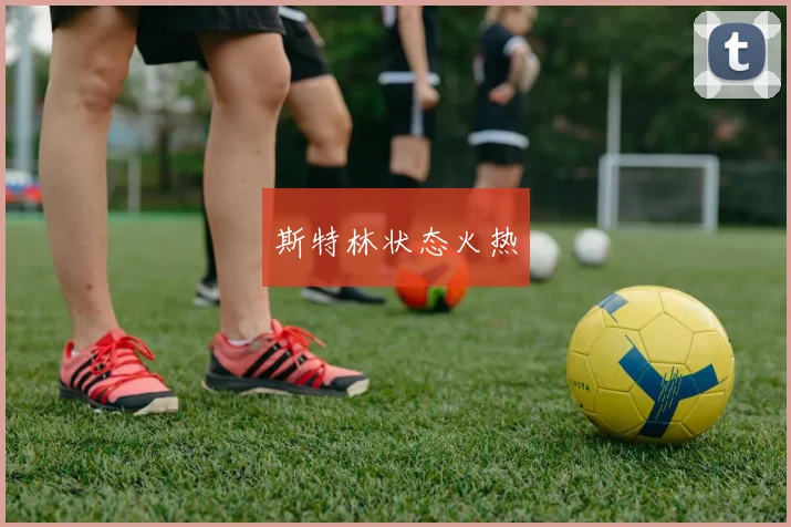 斯特林状态火热