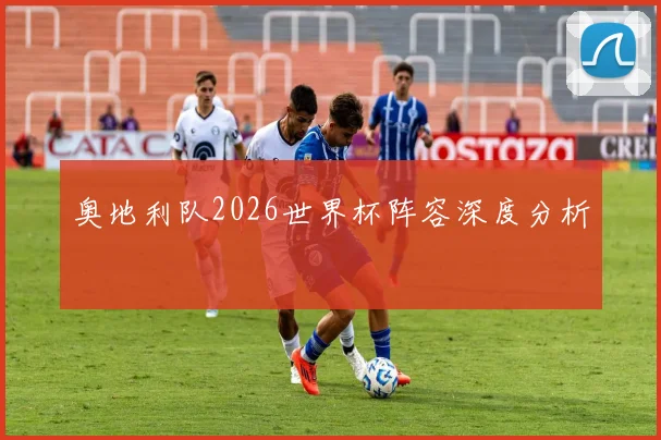 奥地利队2026世界杯阵容深度分析