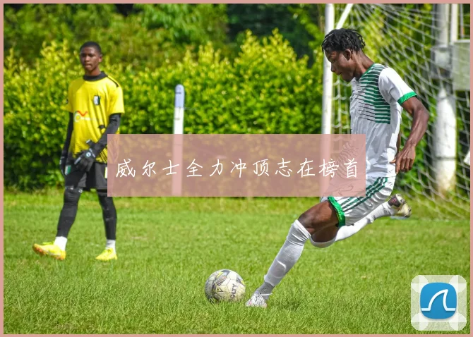 威尔士全力冲顶志在榜首