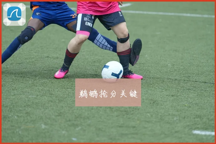 鹈鹕抢分关键