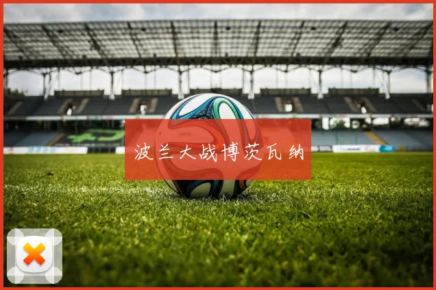 波兰大战博茨瓦纳