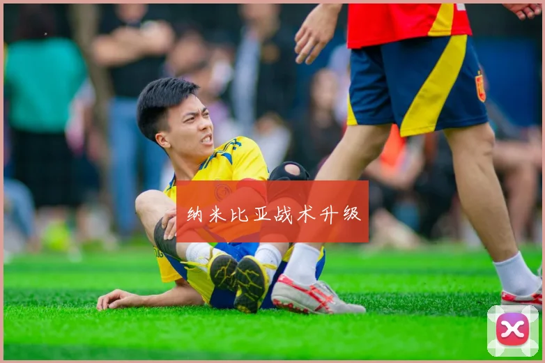 纳米比亚战术升级