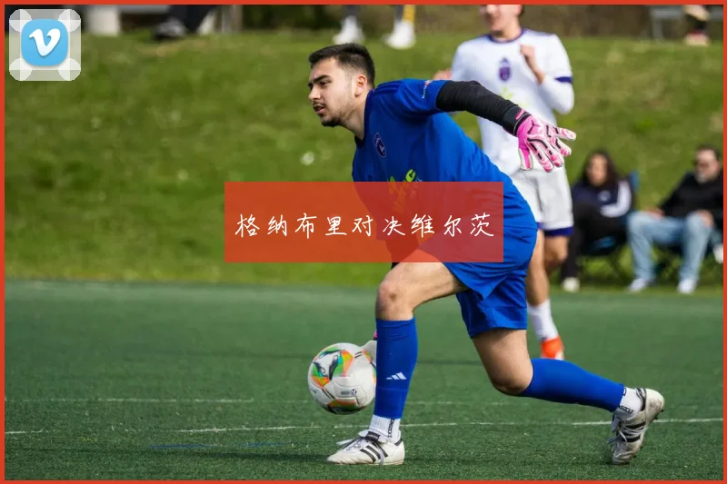 格纳布里对决维尔茨