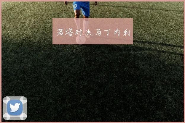 若塔对决马丁内利