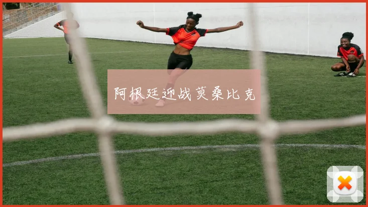 阿根廷迎战莫桑比克