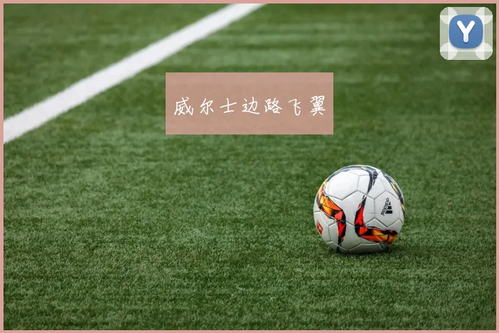 威尔士边路飞翼