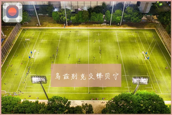 乌兹别克交锋贝宁