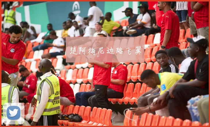 楚阿梅尼边路飞翼
