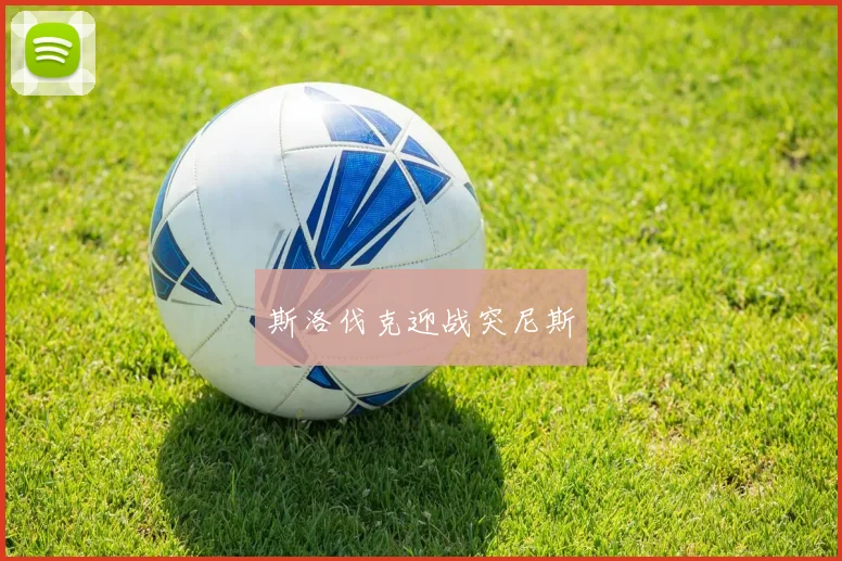 斯洛伐克迎战突尼斯