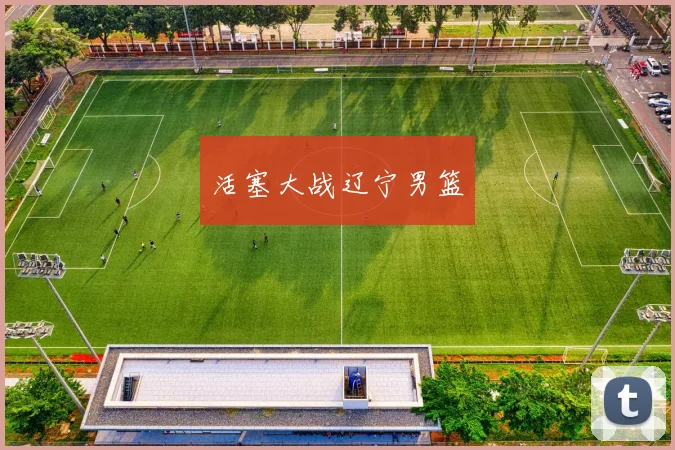 活塞大战辽宁男篮