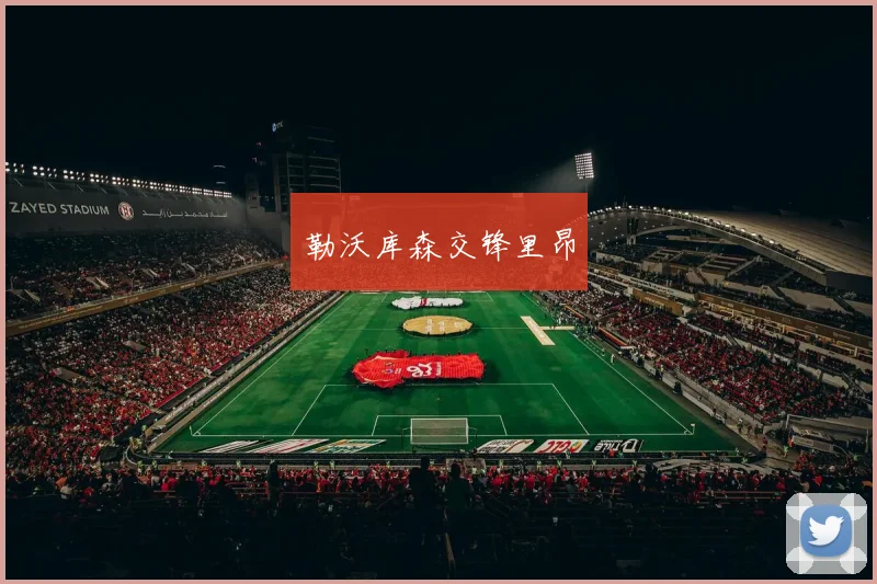 勒沃库森交锋里昂