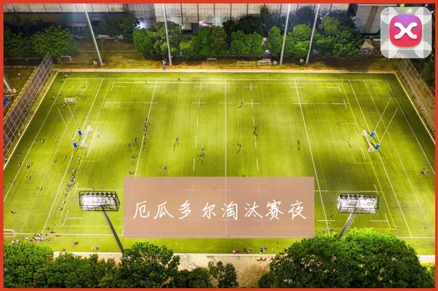 厄瓜多尔淘汰赛夜