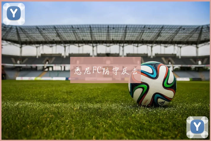 悉尼FC防守反击