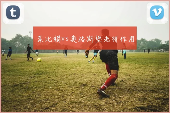 莱比锡vs奥格斯堡老将作用