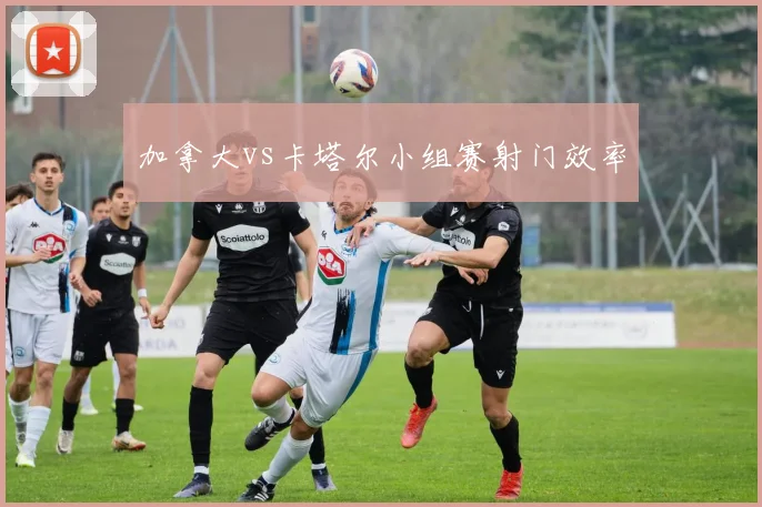加拿大vs卡塔尔小组赛射门效率