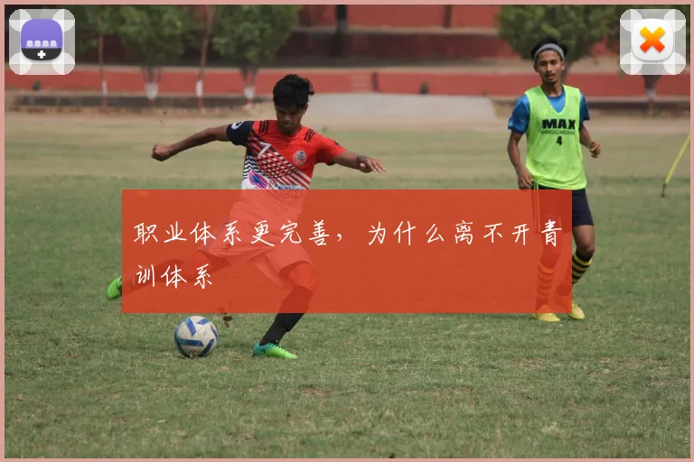 职业体系更完善，为什么离不开青训体系