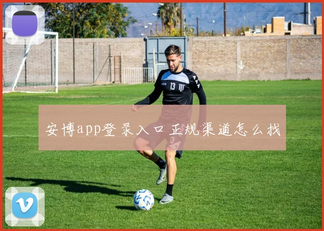 安博app登录入口正规渠道怎么找